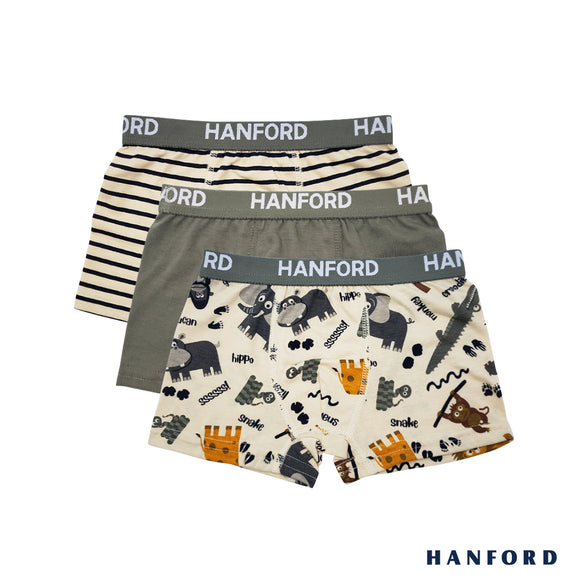 Hanford Kids/Teens Cotton Hipster Boxer Briefs Zoo - Zoo Animals & Stripe Print (3in1 Pack)