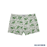 Hanford Kids/Teens Cotton Hipster Inside Garter Boxer Briefs Dino - Assorted (3in1 Pack)