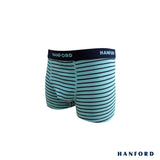 Hanford Kids/Teens Cotton w/ Spandex Boxer Briefs w/ Stripes Stephen - Icy Morn (Single Pack)