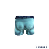 Hanford Kids/Teens Cotton w/ Spandex Boxer Briefs w/ Stripes Stephen - Icy Morn (Single Pack)