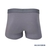 Hanford iCE Men Modal w/ Spandex Boxer Briefs Dusty B - Gray (Single Pack)